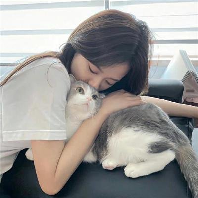 老虎与妙贼