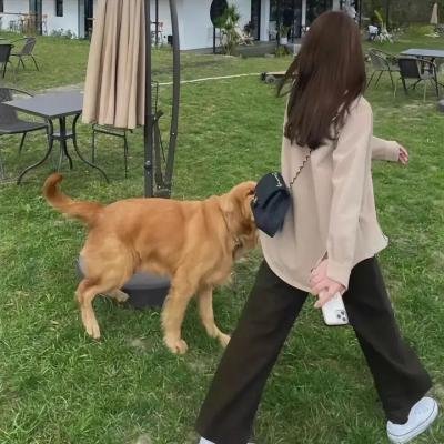 愿被你爱