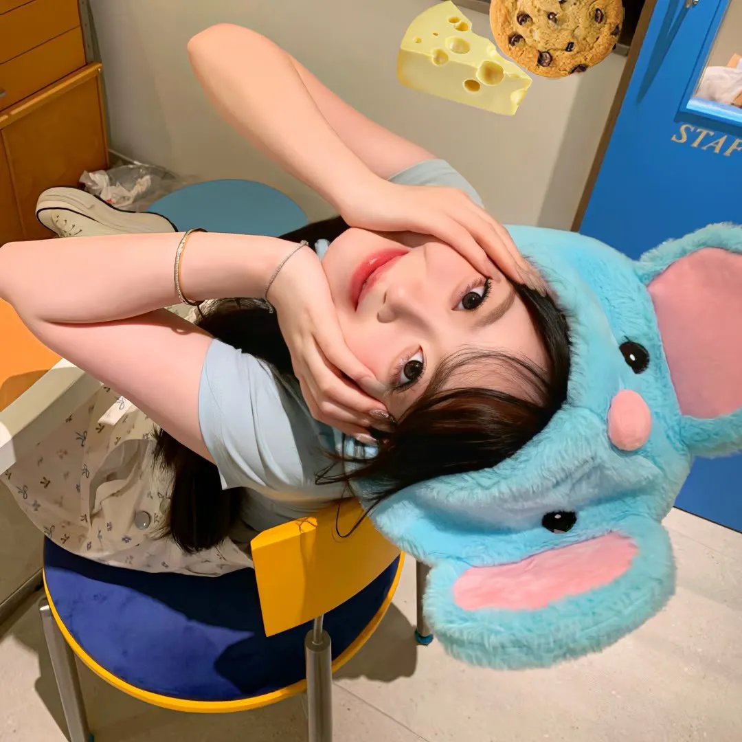 拳脚之路